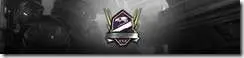 csr-banners_champion-4c12c8877bb744f48bc77def1f77ff77[1]