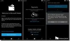 microsoft-payments-1[1]