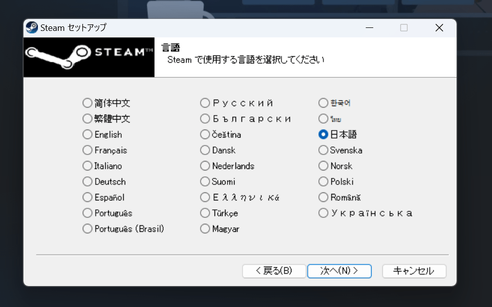 Steam Setup Wizzards