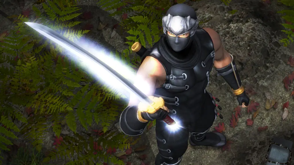 Ninja Gaiden: マスターコレクション