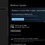 Windows 11 23h2 Update